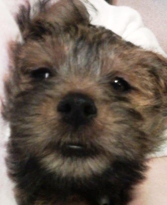 大きくなったね