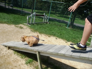 さっさと降りましょ