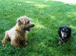 ティアファちゃんと