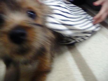 やっと出られた～^^