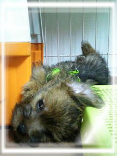 身体･･･ねじれてるよ^^;