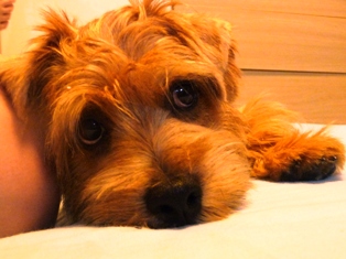 お姉ちゃんの足でまったり