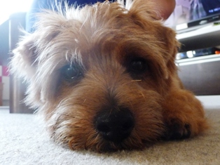 まったりじゃなくていじけてる？