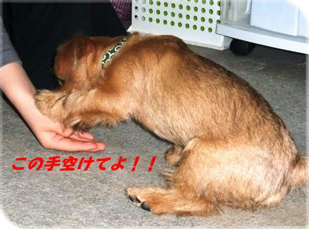 これちょうだいよ