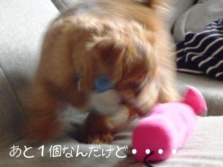 あと１個