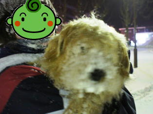 前見えてるの？