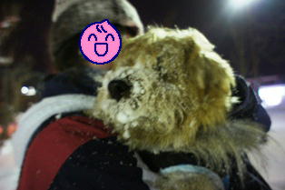 ようやく見えた？