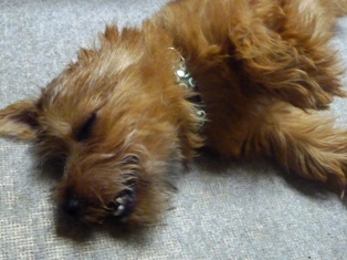 うまいんだなこれが･･･