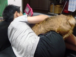 ここからもぐって