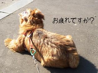 お疲れ？