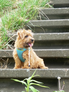 クールダウン２