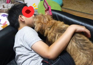 ここについてるの