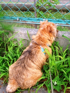 クールダウン３