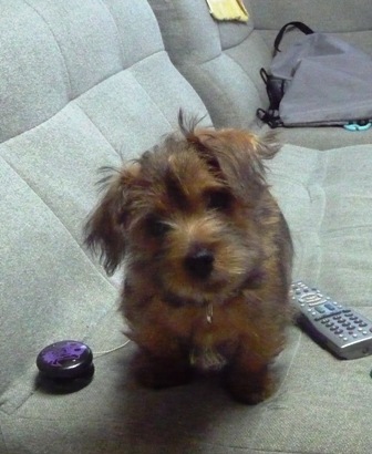 ハイパーヨーヨー