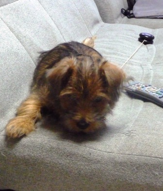 モグモグモグモグ