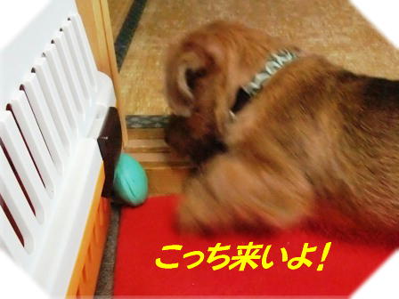 こっち来いよ