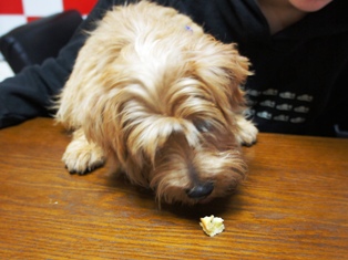 バームクーヘン