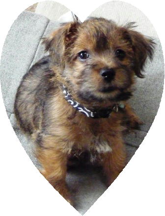 泥棒さんみたい？