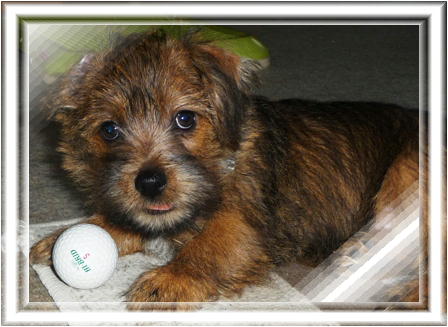 返さないからね！