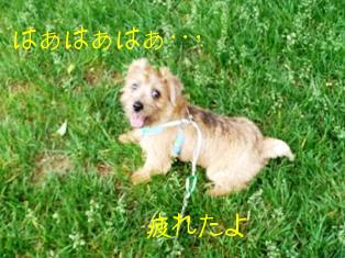 疲れた
