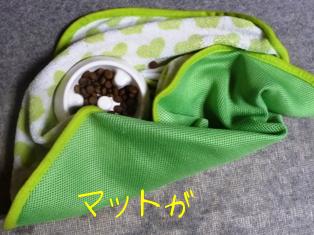 隠しちゃおうっと