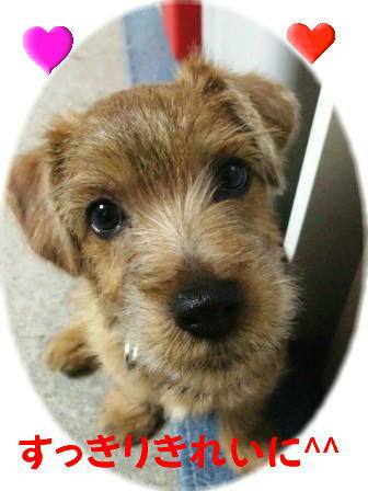 すっきりきれいな顔に