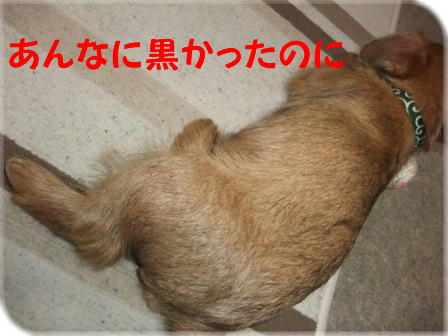 お尻周りもすっきり