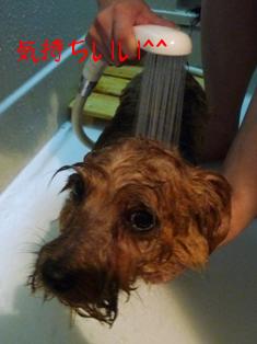 いや～気持ちいいっす