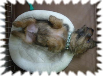 無防備すぎる････