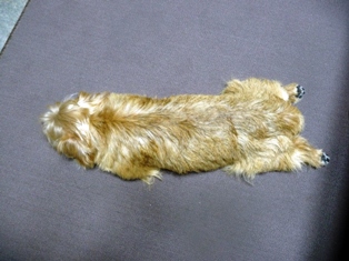 手が･････