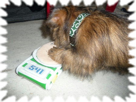 カジカジ･･･カジカジ･･･