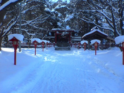 実は信じられないくらい沢山竜神とお稲荷さん写ってるらしいです。