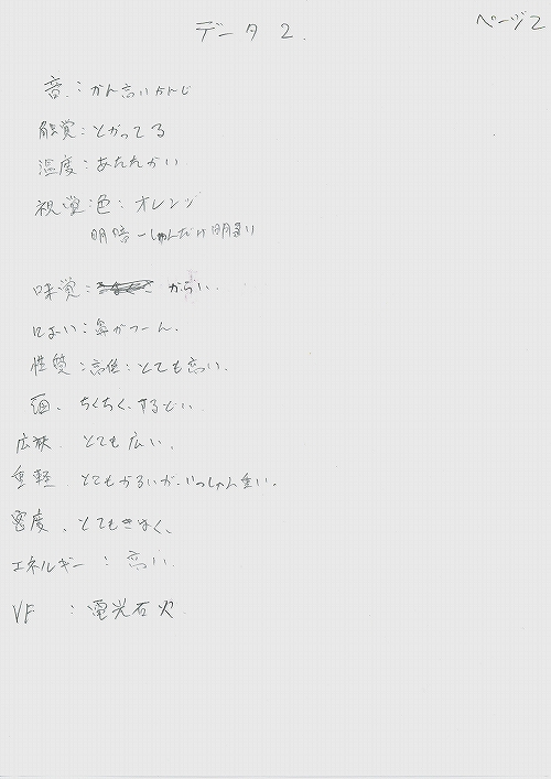 データタイプ２ページ２