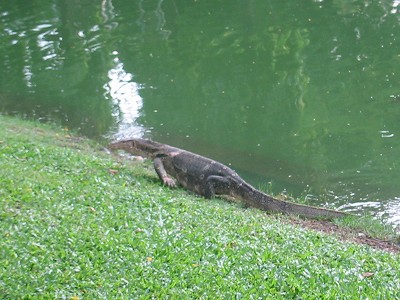 ルンピニーの怪獣