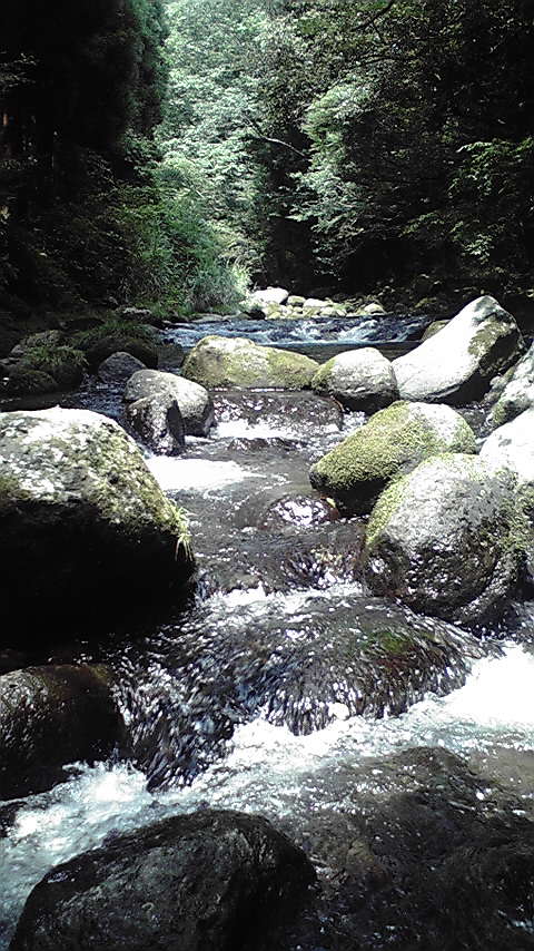 2008072514230000.jpg