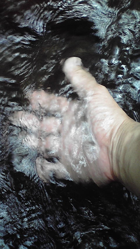 2008072514240000.jpg