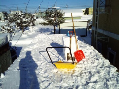 今年もちょい残し