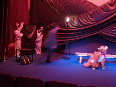 ミラクルを行うウサギ