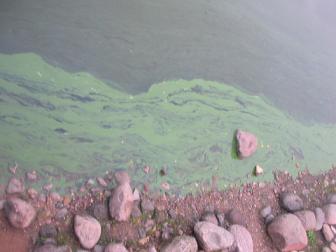 ネブラスチ川岸