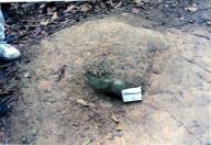 クチトンネルの小さな穴