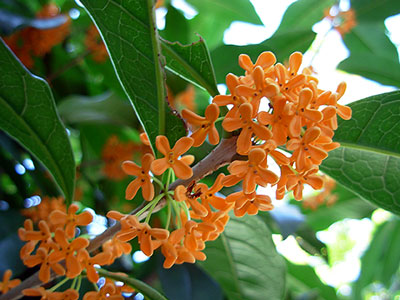 そして日本シリーズでも絶対勝つ！