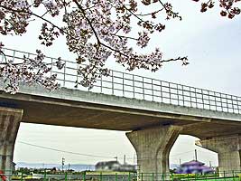 春先　桜の頃に撮ったモノです