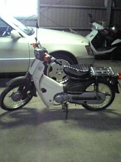 やまちゃんかぶ