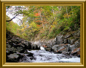 060131 中津渓谷２.jpg