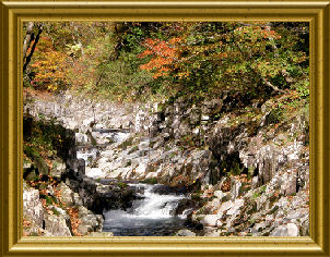 060131 中津渓谷３.jpg