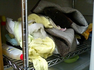 2008May16_PM1853_Stayed