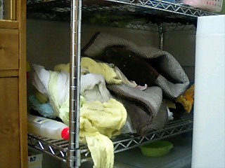 2008May16_PM2251_Stayed