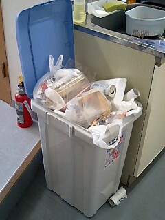 2008Apr28_UnthrouwnTrash