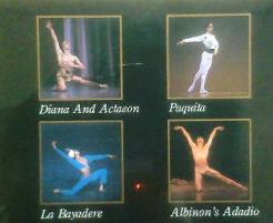 ディアナとアクティオン～