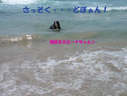 GW3_go to the sea_4.jpg